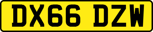 DX66DZW