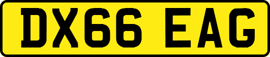 DX66EAG