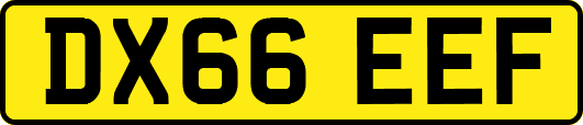 DX66EEF