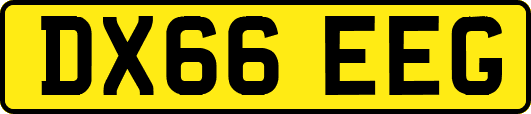 DX66EEG