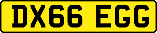 DX66EGG