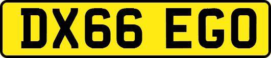 DX66EGO