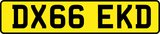 DX66EKD
