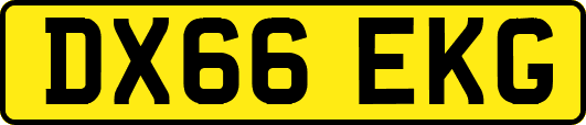 DX66EKG