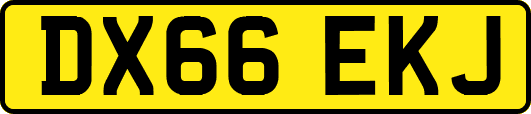 DX66EKJ