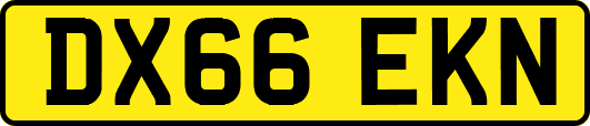 DX66EKN
