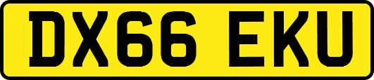 DX66EKU