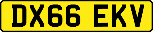 DX66EKV