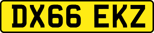 DX66EKZ