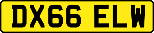 DX66ELW