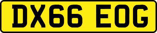 DX66EOG