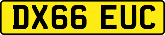 DX66EUC