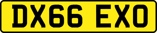 DX66EXO