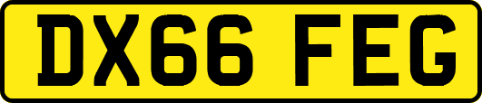 DX66FEG