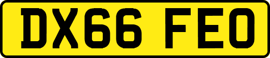 DX66FEO
