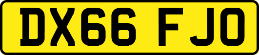 DX66FJO