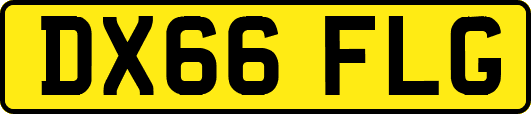 DX66FLG