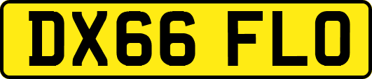 DX66FLO