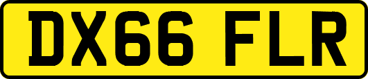 DX66FLR