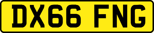 DX66FNG