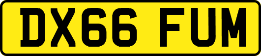 DX66FUM