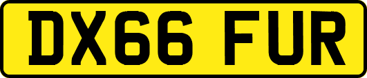 DX66FUR