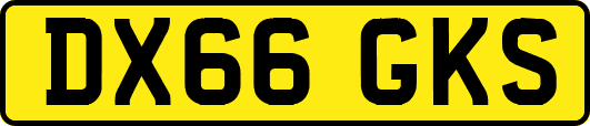 DX66GKS