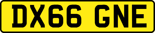 DX66GNE