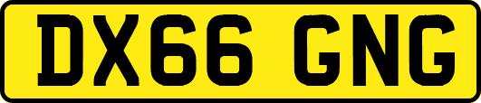 DX66GNG
