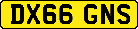 DX66GNS