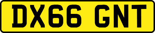 DX66GNT