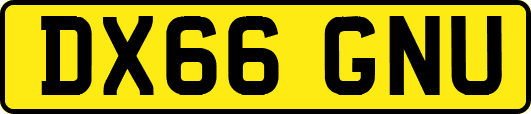 DX66GNU