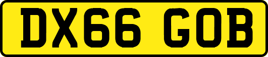DX66GOB