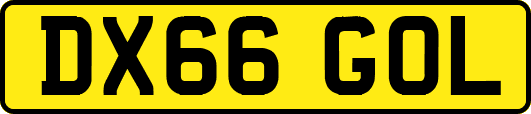DX66GOL