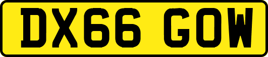 DX66GOW