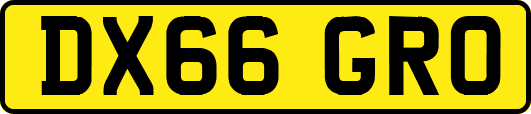 DX66GRO