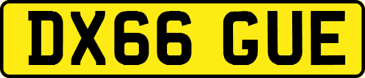 DX66GUE