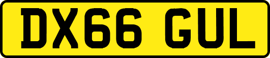 DX66GUL