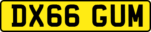 DX66GUM