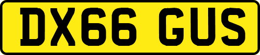 DX66GUS