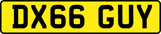 DX66GUY