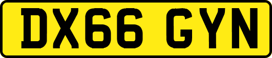 DX66GYN