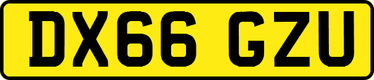 DX66GZU