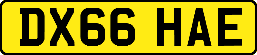 DX66HAE