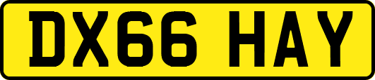 DX66HAY