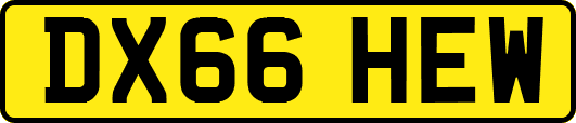 DX66HEW