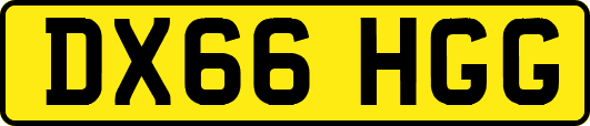 DX66HGG