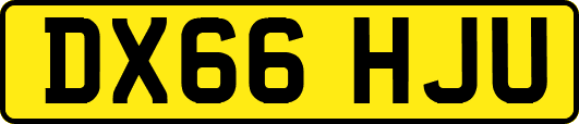 DX66HJU