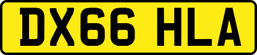 DX66HLA