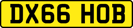 DX66HOB